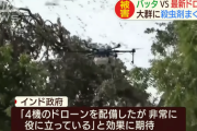 【インド】バッタの大群VSドローン　「60％退治した」