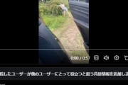 北村晴男議員「この動画見て！日本で中国人が泥棒してる！」→日本ではありませんでした