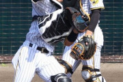 【悲報】阪神・梅野　右肩痛発症で病院直行　岡田監督恨み節「3人目やん。キャッチャーばっかりやぞ」