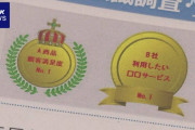 【悲報】メーカー「満足度No.1」　「どうやって調べたの？」　メーカー「知らない。」