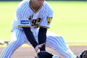 阪神・中野　絶好の機会逃さん！ＷＢＣ代表入りへ「積極走塁でアピール」　二塁「練習できた」