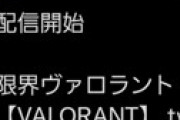 配信者ぐちつぼさん、なりすましアカウントによるグロ画像荒らしが展開されファン阿鼻叫喚