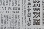赤ちゃんに顔面ケーキ動画拡散、虐待として警察及び児相が緊急保護。新聞でも報道され社会問題に  [6/9]