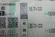 【競馬】レース絞って複勝10万勝負が最も効率的かつ勝てる買い方だよな