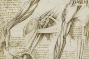 海外「単純生物には理解不能」レオナルド・ダ・ヴィンチによる信じられないほど詳細な解剖スケッチが海外で話題に