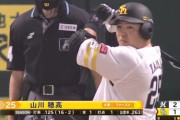 【悲報】山川穂高さん、17打数2安打 .118 1本 1打点