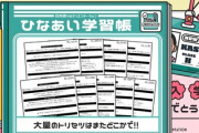 【日向坂46】ひなあい、放送されなかった大量のトリセツがこちら！