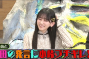 池田瑛紗ちゃん、アイドル界の異端児だったｗｗｗ【乃木坂46】