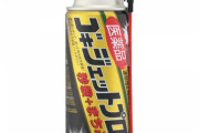 【悲報】ゴキブリ相手に投擲、悪手だった→その理由がこちらｗｗｗｗｗｗｗｗｗｗｗｗｗｗｗ