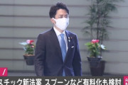 【来年施行】小泉環境大臣、主導の新法案「コンビニのスプーンなど有料化」←これさぁ