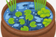 【画像】アクア民さんの屋外水槽に謎の生物が侵入してしまう・・・