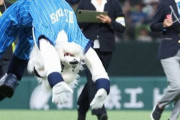 【ヤバイ】西武マスコット『レオ』がバック転でギネス世界記録達成ｗｗｗｗｗ