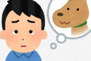 人は何故、死ぬの分かってるのにペットを飼い、死んだらペットロスになるのか・・・