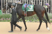 【競馬予想】[2]第60回北九州記念(GⅢ) /2025