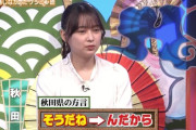 【画像】鈴木絢音さん、なんJで叩かれる