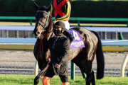【有馬回避で年内休養】シャフリヤール　秋は2戦で終了