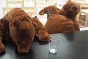 【画像】IKEAでクマのぬいぐるみが人気ｗｗｗ