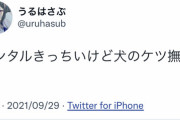 【ぶいすぽ】ぶいすぽ古参組メンタルやられてます…
