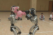 ヒューマノイドロボット同士がボクシング、初の格闘イベントに向けその戦術を披露