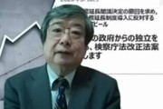 【話題】女優の裕木奈江、ネット工作の仕掛け人が福島瑞穂の内縁の夫・海渡雄一弁護士だと突き止めるｗｗｗｗｗ