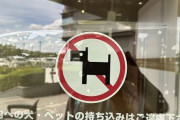 「ペットの持ち込みはご遠慮下さい」にノンスタ井上さんが苦言「飼ってる側としては物みたいな言い方は悲しい」