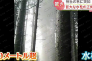 北海道長万部町の神社の林にて、高さ３０メートルの水柱が突如出現！現在も吹き出し中