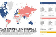 【大麻】大麻を危険薬物リストから除外するのに賛成した国と反対した国がこちら