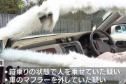 【朗報】DQNが成人式に乗っていった改造車がかっこよすぎると話題に