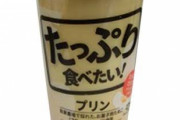 彼女「あ、帰りにコンビニでプリン買ってきて、おっきいやつね」ワイ「あ、はい」