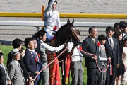 友道調教師 ドウデュースぶっつけで凱旋門賞を示唆