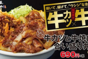 【悲報】かつやさん、とんでもないカツ丼を発売してしまう
