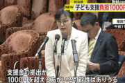 加藤子ども政策担当相｢少子化対策支援金の徴収､月1000円超える人いるかも｣