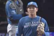 【vs.西武】日ハム立野、初回に連続タイムリーを浴びて2失点　先制を許す