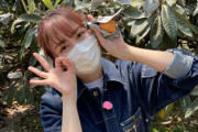 あーりん出演『うまいッ!』明日5/29(土)早朝に再放送決定！｢あーりん、ロケにナレ、大活躍」｢すっかり番組の軸」