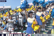 【画像】甲子園・仙台育英に□リかわチアガールｗｗｗｗｗｗｗｗｗ