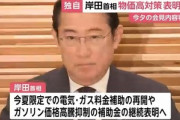 【朗報】岸田首相｢電気･ガス料金の補助の再開｣｢ガソリン価格高騰を抑える補助金｣｢年金生活者･低所得世帯への給付金｣を発表へ