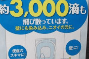 【悲報】ヤフーニューストップで「自宅トイレで立っておしっこする男」がボロクソに叩かれてしまう