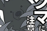 【秋田】クマ注意のポスター「かわいすぎて怖さ伝わらないのでは」と話題に