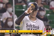 周東佑京(24).265(245-65) 1本23打点39盗塁(43-39)←まぁ及第点ってとこか？