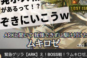 【カメラマン】ムキロゼきたあああああああああああああああああああ