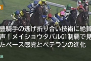 武豊騎手の逃げ折り合い技術に絶賛の声！メイショウタバル宝塚記念連覇で見せたペース感覚とベテランの進化
