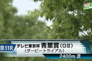 【青葉賞】スキルヴィング＆ルメール騎手がｷﾀ━━━━(ﾟ∀ﾟ)━━━━!!