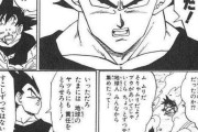 ベジータ「たまには地球のやつらにも責任取らせろ」←お前が言うな