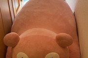 【画像】X民「ポケモンの等身大ぬいぐるみ届いたよ！(ﾊﾟｼｬ」←想像以上にデカくて草ｗｗｗｗ