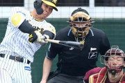 阪神・佐藤輝明は３安打猛打賞　広角に打ち分ける　楽天と練習試合