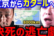 NHK党・ガーシーの帰国、登院要請に立花孝志は応じられない姿勢　詐欺容疑で不当逮捕の可能性「帰国できる状況にない。」