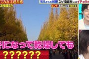 【乃木坂46】山下美月、『クイズ違和感』で難問に正解！！！！！