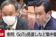 【予算委員会】立憲・枝野「GoToの対案は無いのか！えー・・・続きまして桜を見る会ガー」