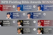 MLBデータ会社が選ぶNPBのフィールディング・バイブル賞(守備ベストナイン)三塁手で安田が選出！！