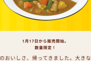 ココイチ、本日から新メニュー「グランマカレー」を販売！
